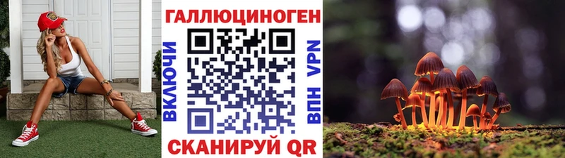 где купить наркоту  Шелехов  Галлюциногенные грибы Cubensis 